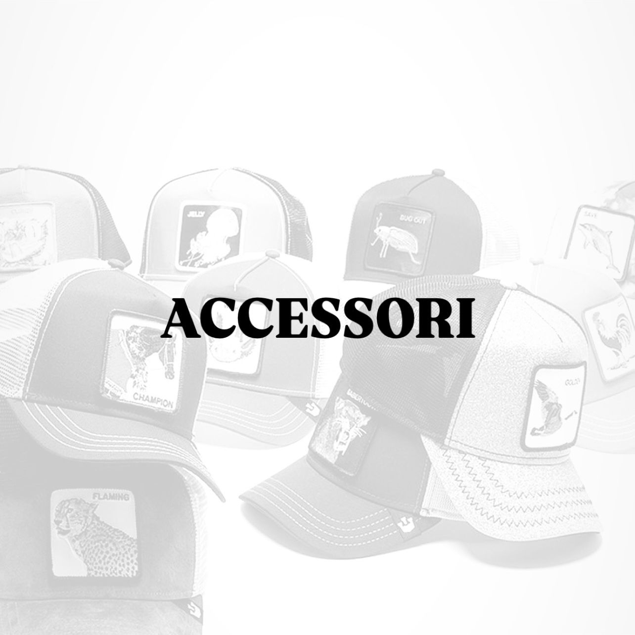 Accessori